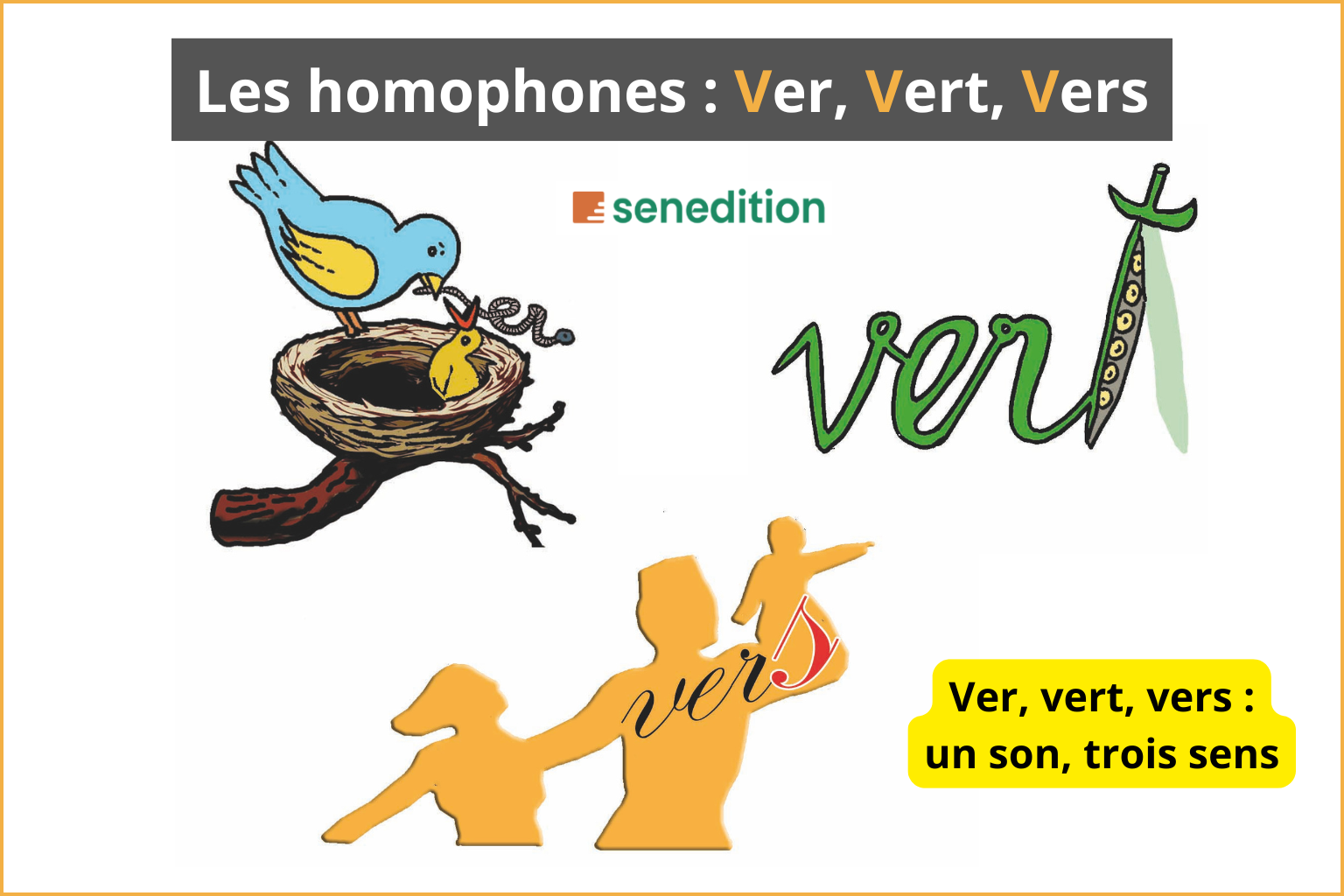 Les homophones – ver, vert, vers